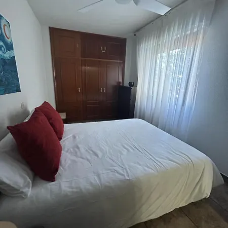 Palmeras 칸델레다